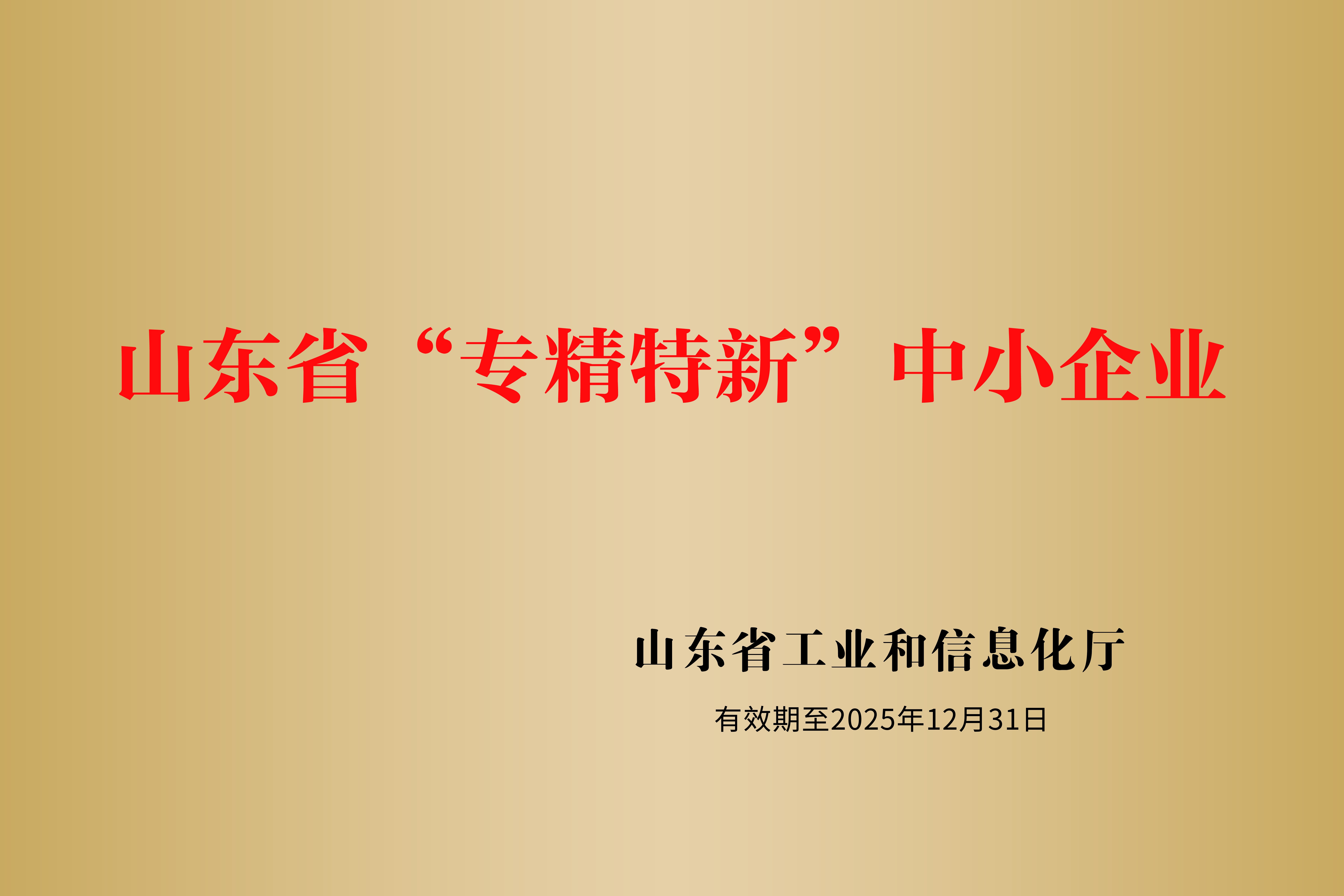 山東省專精特新企業(yè)證書.jpg